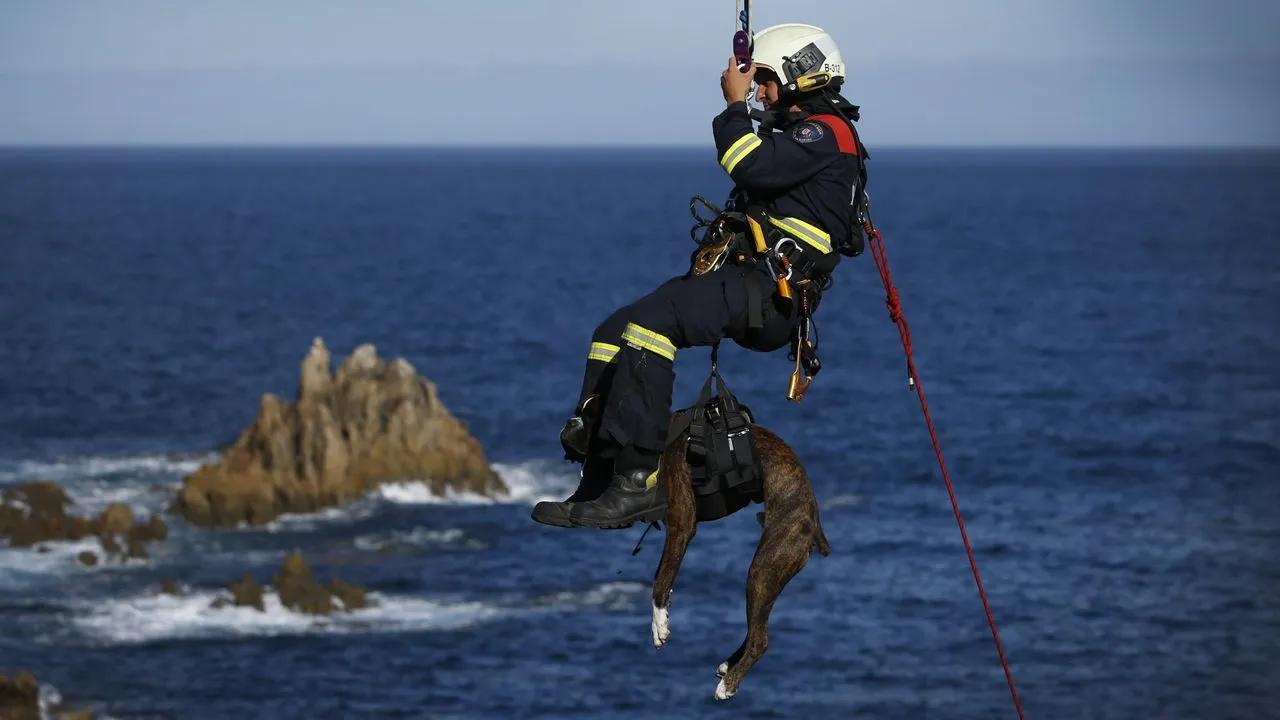 Ascensores y Montacargas en Incendios: Guía Completa de Seguridad - Cuánto cobran los bomberos por sacarte de un ascensor ascensores y montacargas incendio - Cuánto cobran los bomberos por sacarte de un ascensor
